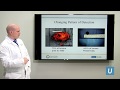 Avoiding Unnecessary Treatment of the Small Renal Mass | Brian Shuch, MD | UCLAMDChat