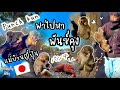 #521 แม่บ้านญี่ปุ่น 🇯🇵 พาไปหาพันซ์คุง🐵 เพิ่งรู้ว่าอยู่ใกล้บ้าน ตัวจิ๋วๆ น่ารักมาก ดูกันยาวๆ ฟินๆ 