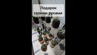 Оригинальный подарок из старой посуды своими руками