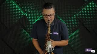 Danilo Macedo Interpretando Stuck On You (Sax Cover)
