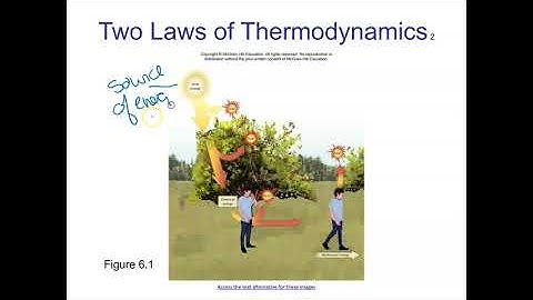 Ch 6 part 1 BIO101 Mader
