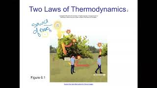 Ch 6 part 1 BIO101 Mader