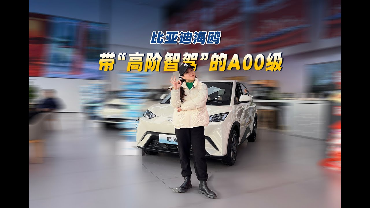 70,000 BYD Seagull also has "high class intelligent driving" only Di Wang can do it?