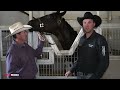 Equine Outfit Of Excellence | Lutesifer | Champion Left Wheeler