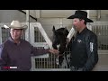 Equine Outfit Of Excellence | Lutesifer | Champion Left Wheeler