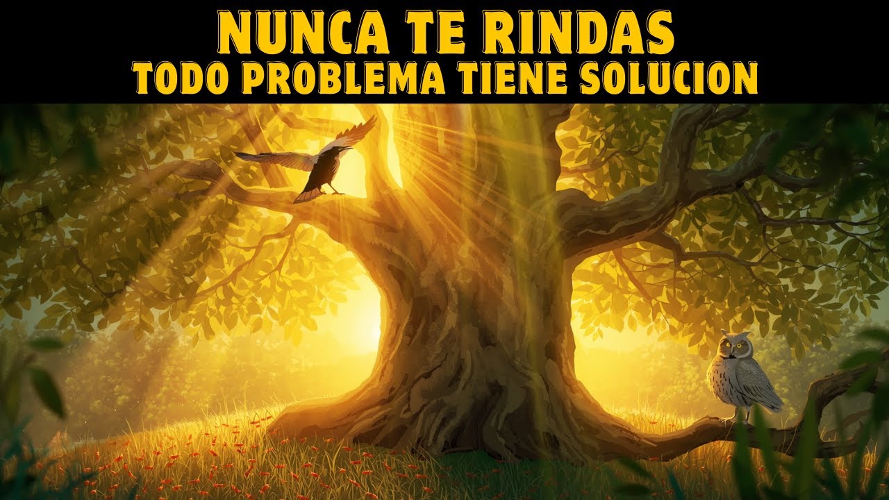 Esta HISTORIA Te Demuestra Que Siempre Hay Una Salida A Los Problemas ...