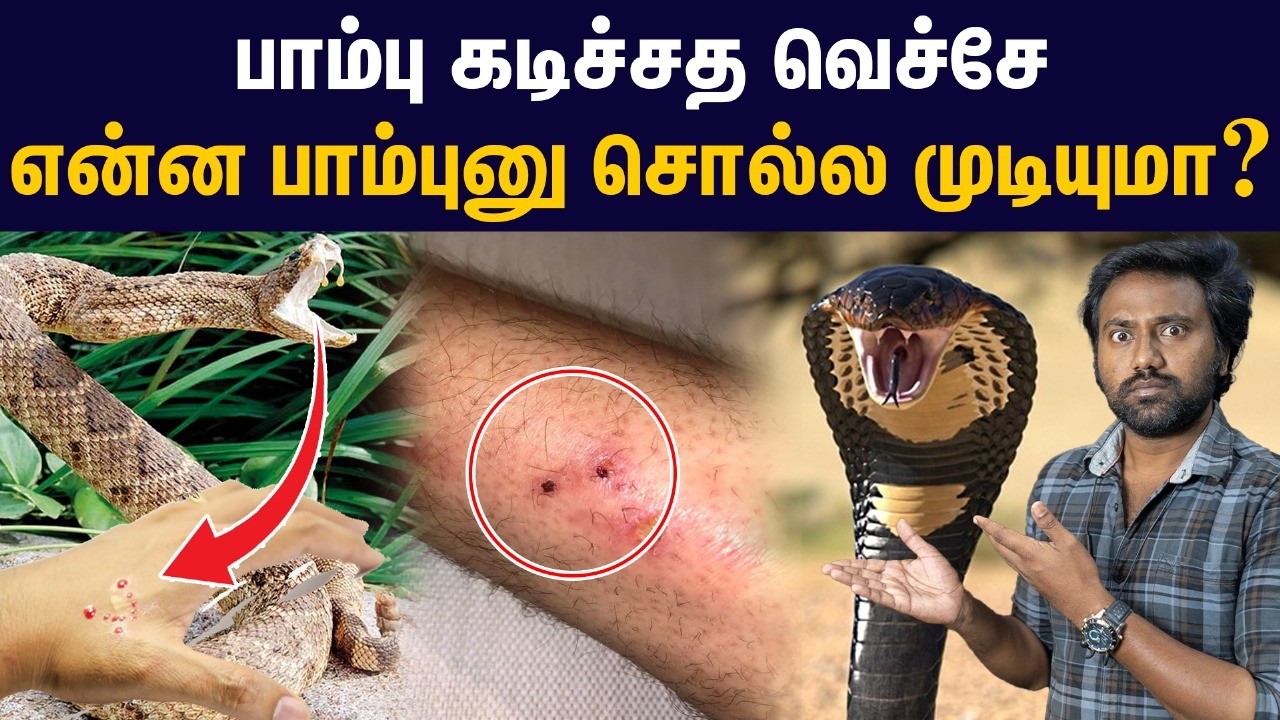 இந்த பாம்பு எல்லாம் கடிச்சா... | Snake rescue documentary