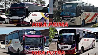 Kompilasi Bus HIBA PUTRA Dan HIBA PRIMA Team Sukabumi ❗