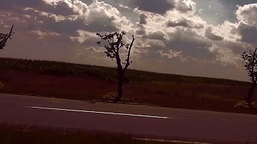 Enter the EXIT Festival 2011