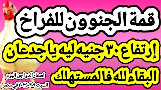 اسعار الفراخ البيضاء اليوم اسعار الدواجن اليوم السبت ٩-٣-٢٠٢٤  في مصر