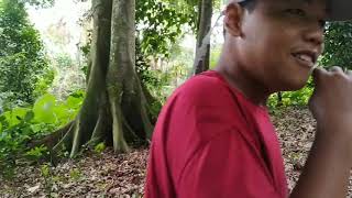 MEMASUKI HUTAN TERLARANG DAERAH MANCAK!!! MAU MENYARI SEBUAH HEWAN UNTUK DI JUAL😪