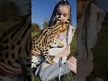 Прогулка с Сервалом