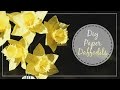 How To Make Crepe Paper Daffodils