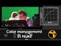 Color management in Nuke | Nuke Tutorial