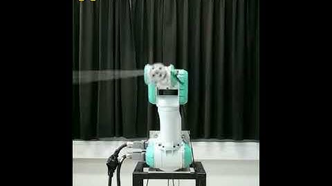 Robot pendulum control using Matsuoka neural oscillator