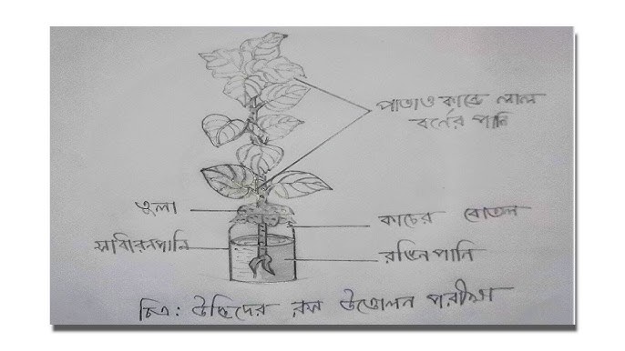 Qaynona kuyovi bilan hammomda jinsiy aloqa qilish