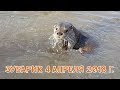 ЗУБАРИК 4 АПРЕЛЯ 2018 Г.