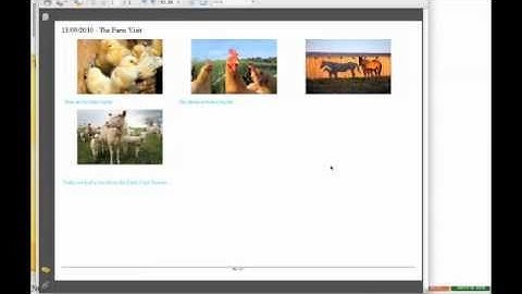 Create a PDF or print The Daily Daily page