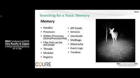 Explore Adventures in the Underland: Forensic Techniques against Hackers