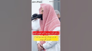 Raad Al kurdi Whatsapp status with Urdu translation / رعد الكردي سورة آل عمران