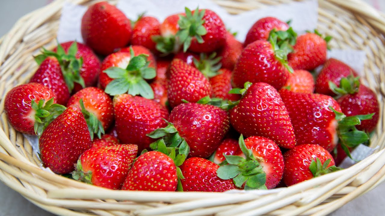 CONSERVAR LAS FRESAS FRESCAS mas tiempo.. Keep strawberries fresh. - YouTube