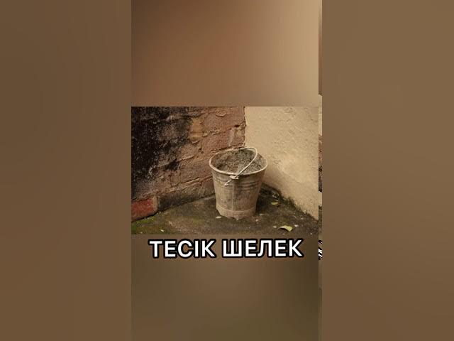 Үстсіз кеуделі