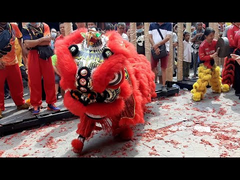 2020新春醒獅采青鬧元宵節 @ Petaling Street #茨廠街 KL #馬大醒獅團 #1