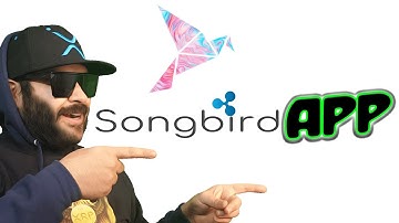 SONGBIRD APP & METAMASK TUTORIAL! HOW TO CHECK SGB BALANCE?
