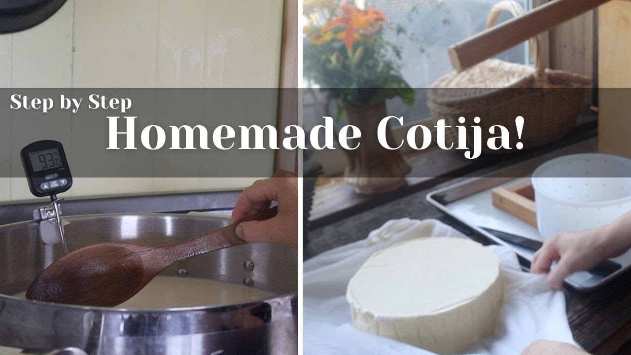 Как приготовить сыр котиха с нуля | Простой домашний рецепт