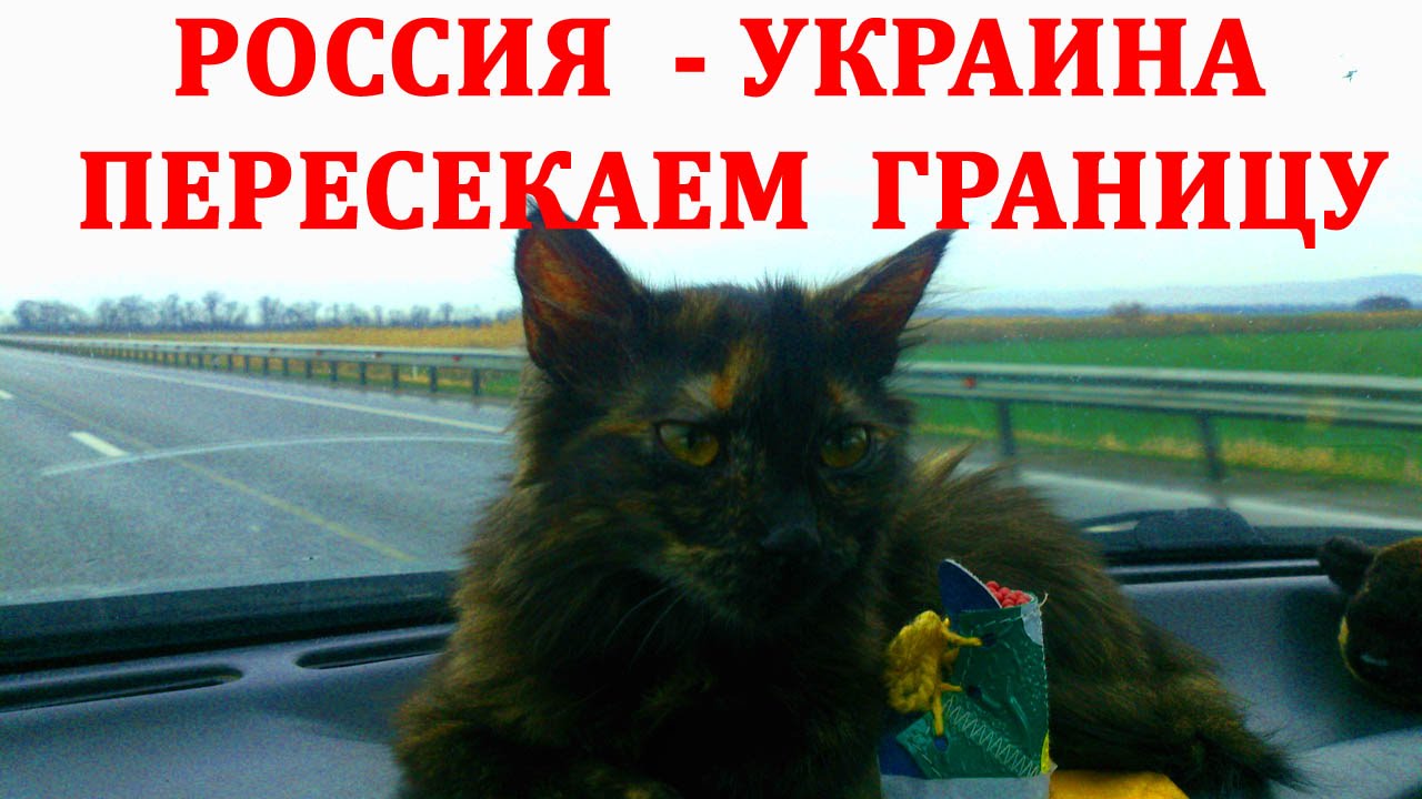 Шебекино плетеневка Шебекино плетеневка