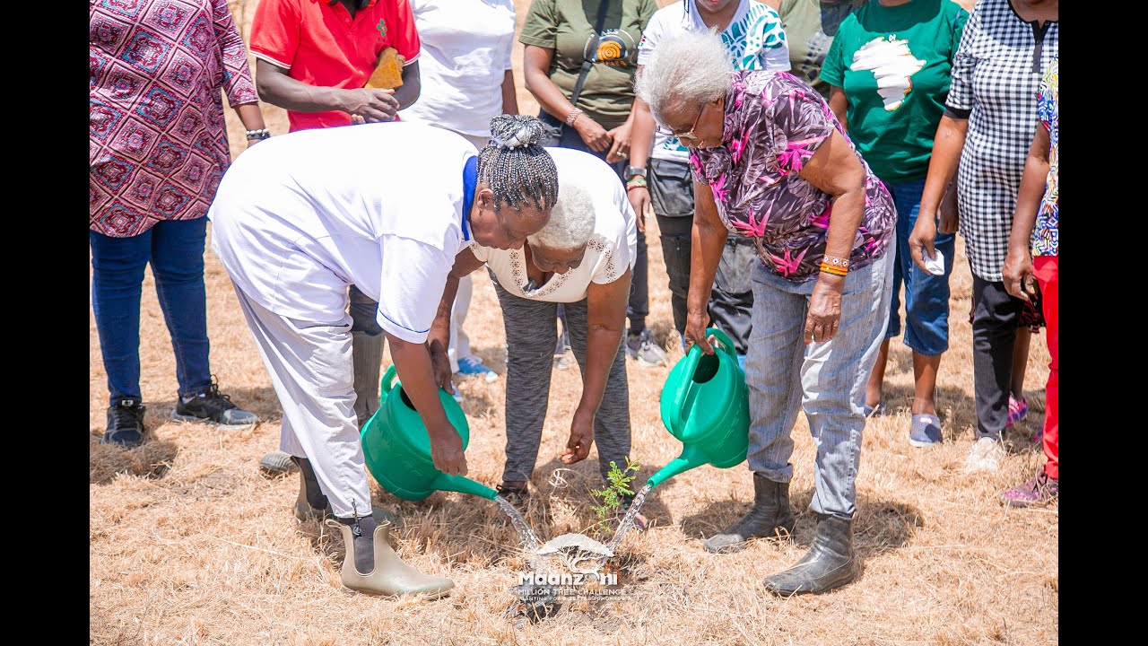 100 Trees for 100 Years: From Ages 7 to 96, Planting Our Legacy | #mmtc ...
