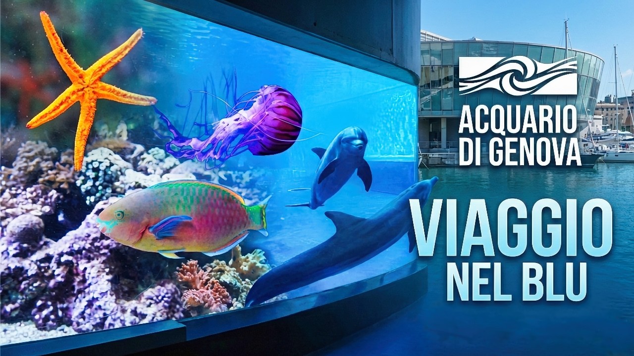 Alla scoperta dell'Acquario di Genova