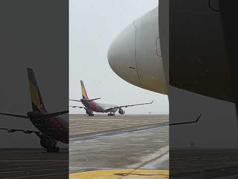 <strong>Asiana</strong> Airlines A321 #아시아나항공