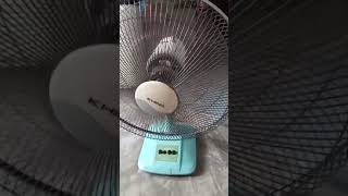 16" Daema table fan