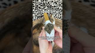 My cat needs this!