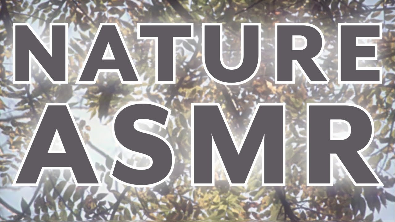 A Walk Through the Woods | Nature Sounds & Relaxing Ramble ASMR - YouTube