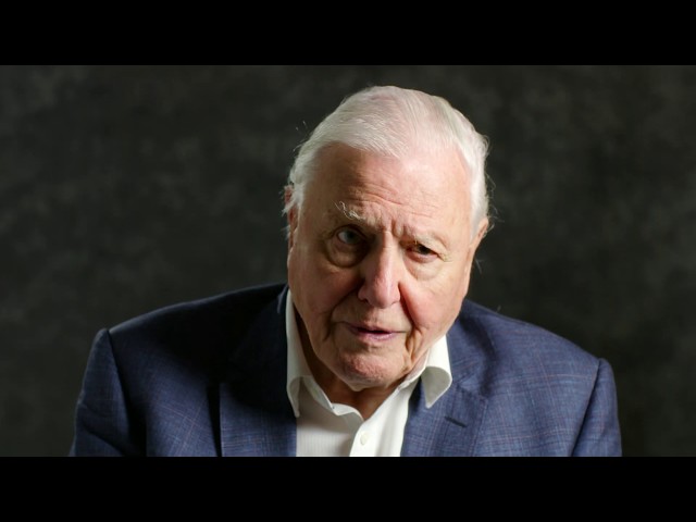 Sir David Attenborough | A message to world leaders class=