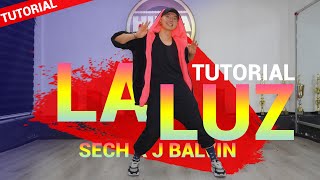 La Luz - Sech x J Balvin | TUTORIAL coreografía