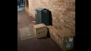 people find  sealed boxes full scared cats