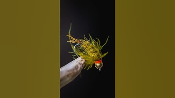 The BEST searcher NYMPH! Must try!! #flytying #flyfishing #trout @DavieMcPhail