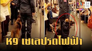 แห่ถ่ายรูปสายตรวจ K9 เซเลปรถไฟฟ้า | ข่าวเที่ยงอมรินทร์ | 9 ก.พ.66