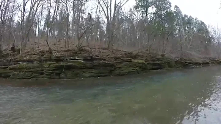 Otter Creek Trout Fly Fishing KY 1/31/2016