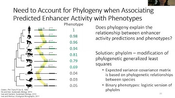 A Comparative Genomics Approach to Identifying... - Irene Kaplow - RegSys - Talk - ISMB/ECCB 2021