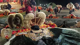 SEEING THE DRAMA INSTALLING THE HEAD OF THE BARONGAN REOG ANNIVERSARY REGOL WENGKER