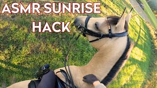 POV ASMR MORNING AT THE BARN | Tack up & ride with me