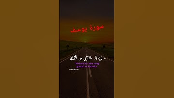 ما تيسر من سورة يوسف #القرآن_الكريم #آيات #قرآن #سورة_يوسف #reels #اكسبلور #لايك #تيك_توك