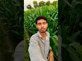 तू फूल बना बगिया का हम सामने बैठे थे#viral #farming #trinding #youtubeshorts #shorts