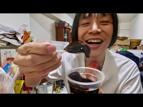 開箱 焦糖爆走丁丁 布丁🍮發黑？搗蛋的小鳥🦜樂比 一起來
