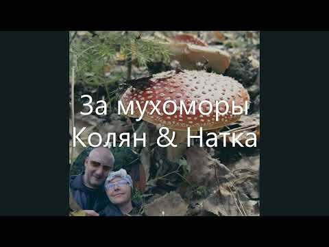 За мухомор! Микродозинг день 2.