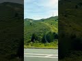 Beautiful destination!❤️ #beautifulview  #beamngdrive  #everyone